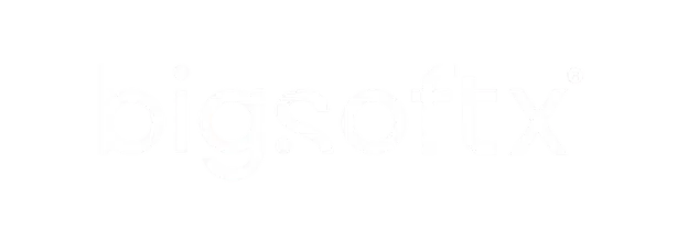 Bigsoftx Logo